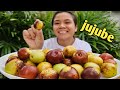 Jujube fruit