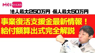 事業復活支援金最新情報！最新チラシから給付額算出式を完全解説！