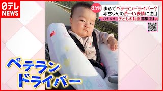 【投稿動画】ヒジを窓に… ベテランドライバーのような赤ちゃん『every.特集』