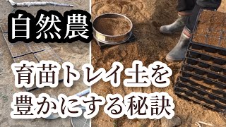 【自然農】育苗トレイ土を豊かにする秘訣【つきよみ自然農園】2022年1月29日　厚木市愛名畑にて　〜育苗を成功させるひとつの方法〜