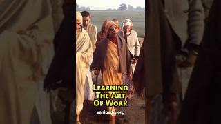 Learning The Art Of Work - Prabhupada 0358