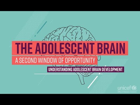 What happens to GREY matter in adolescence What does this mean?