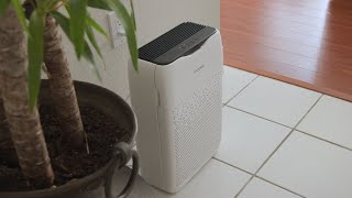 Best Affordable Air Purifier | Mooka Room Air Purifier | Review