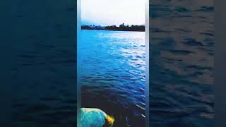 Nature😍 [ Relaxing and satisfying ] #оценкаканалов #приколы #coub #реакция #4k #8k