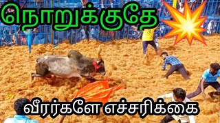 🤯❌வீரர்களே எச்சரிக்கை❌❌#jallikattu_2023 #ஜல்லிக்கட்டு_பாரம்பரியம்