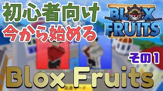 【初心者向け】今から始めるブロックスフルーツ!?　Blox Fruits攻略【ROBLOX(ロブロックス)】【ゆっくり実況】