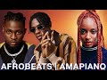 NAIJA AFROBEAT 2024 - AFROBEATS MIX 2024 - AMAPIANO MIX 2024 | BEST OF NAIJA AFROBEAT VIDEO MIX 2024