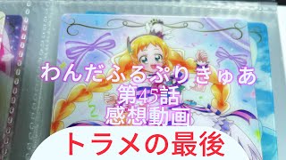 「わんぷり」わんだふるぷりきゅあ第４５話感想動画