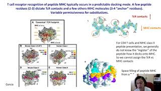 Memory CD4 T cells established by endemic human Coronaviruses have the potential to be recruited...