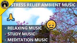 Relaxing Music 🙏 Ambient Music | Study Music 👨‍🎓 Meditation Music |  | Background Music