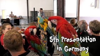 5th Annual Presentation at German Parrot Flight Club