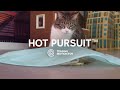 smartykat® hot pursuit™ electronic cat toy