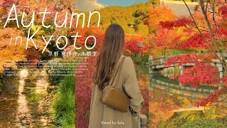 【京都vlog】見頃はこれから!京都の紅葉を巡る🍁 | 南禅寺･天授庵 | 永観堂 | 京都岡崎エリア