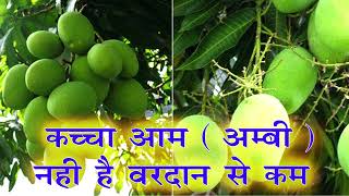 Kacha Aam Khane Ke Fayde! कच्चा आम खाने के फायदे ! Raw Mango Benefits