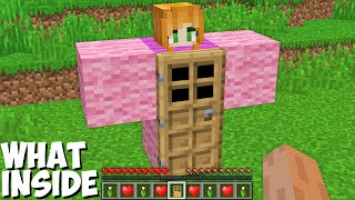 What INSIDE a GIRL SPAWN PASSAGE in Minecraft SECRET GIRL HOUSE