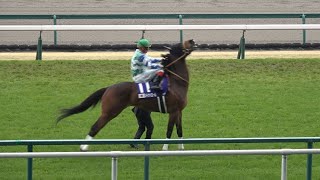 メイケイエール ラストラン 大歓声の本馬場入場【高松宮記念2024