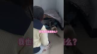 #猫的报恩 滴水之恩定当涌泉相报 #圣火喵喵教 #我和流浪猫的故事 #每个生命都值得被善待 #关爱流浪猫