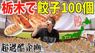 【過酷】宇都宮で餃子100個食べ切るまで帰れません！【栃木県】