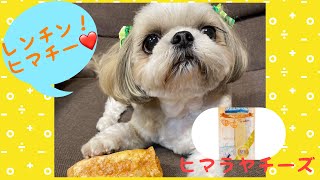 【わんこのオヤツ】レンチンヒマチー！ヒマラヤチーズをチン！して食べよう