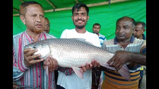 একতা সৌখিন মৎস্য খামারে মাছ শিকার। #adventure #fishingvideo #hookfishinghookfishing #fishingbangla