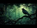 magical sleepy story 🌙 night of the black crows the perfect story for sleep