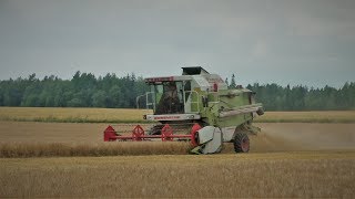 Barley harvest 2K19 | Estonia