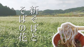 【満開のそば畑】奈良の山中にある人気のそば処に密着 | Close coverage of a soba restaurant in the mountains of Japan