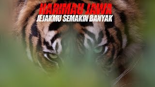 Jejak HARIMAU JAWA Semakin Banyak | 2 Anak Macan Tutul