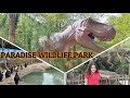 Paradise Wildlife  Park ! World of Dinosaurs 🦕🦖🦕