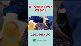 おもちゃ工場見学！もぐちゃんといっしょにウッディプッディのおもちゃ工場を見学しよう！【ウッディプッディ公式】　#shorts