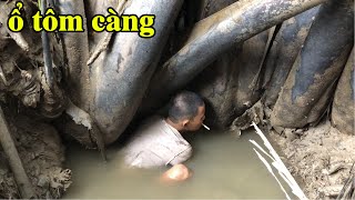 Cao thủ mò tôm ! Trúng nguyên ổ tôm càng nằm trong bọng đá | THÚ VUI MIỀN TÂY. Tập 480