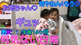 【男女双子の日常】ごう君待望のギュッに思わず笑顔！w赤ちゃん生後1歳2ヶ月Mix twins Hug from the first younger sister