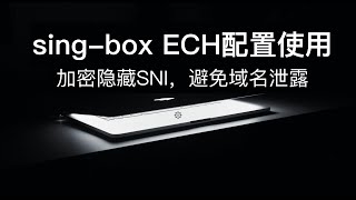 sing-box ECH配置使用 | 加密隐藏SNI,避免域名泄露