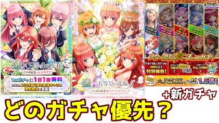 そろそろコラボが終わるけどどのガチャを回すべき？【白猫テニス】【五等分の花嫁コラボ】