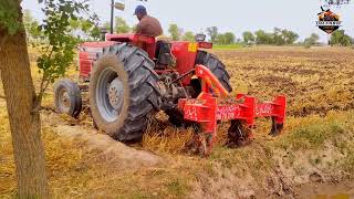 Tractor working failed | میسی فرگوسن ٹریکٹر اور 5 پھلا ہل 😱۔