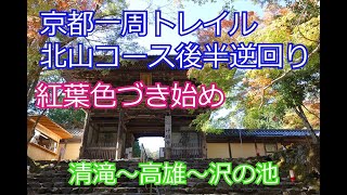 京都一周トレイル北山後半コース逆回り　紅葉色づき始め♪