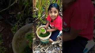 എന്റെ അച്ഛമ്മയുടെ വീട്ടിലെ കുഞ്ഞു കുഞ്ഞു കാഴ്ച്ചകൾ 🥰#youtubeshorts