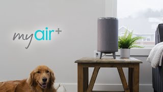 MYair™ + Air Purifier Feature Overview