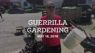 Gorilla or Guerilla or Guuuuurrll-illa: Our Gardening Adventure!