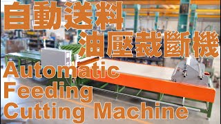 Huen Chen 鴻錩機械 HC- 1693 自動送料裁斷機 Automatic Feeding Hydraulic Cutting Machine