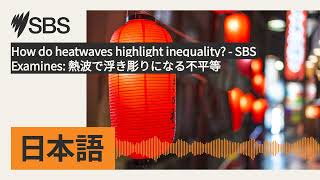 How do heatwaves highlight inequality? - SBS Examines: 熱波で浮き彫りになる不平等 | SBS Japanese - SBSの日本語放送