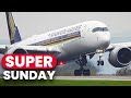 ✈️ Manchester Airport LIVE 🔴 Super Sunday