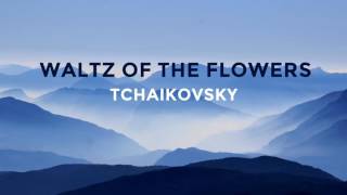 (No Copyright Music) Waltz of the Flowers (by Tchaikovsky) by Tchaikovsky