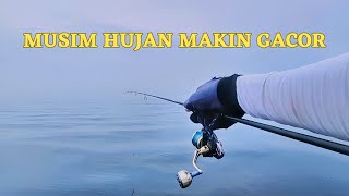 MANCING JIGGING DI MUSIM PENGHUJAN || Alhamdulillah panen strike