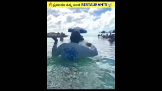 🔥ప్రపంచంలో ఉన్న వింత Restaurants🤯#shorts #viral