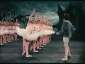 scene ”swan lake