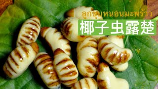 【泰式椰子虫露楚】可以吃的虫虫喔！请不要害怕：）【Thai Coconut Bug Luchu】Eatable bugs! Please don't be afraid:)