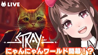 LIVE｜Stray① 吾輩は猫になる！🐈