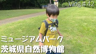 【子育てvlog#42】ミュージアムパーク茨城県自然博物館で恐竜さんと大自然満喫☆