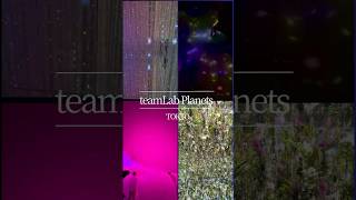 teamLab Planets Tokyo #アート巡り#チームラボ#teamlabplanets #teamlab